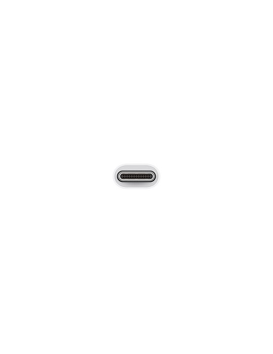 ADAPTADOR APPLE USB C MACHO A USB HEMBRA