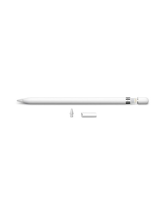 Apple Pencil Ipad Pro Blanco Mk0C2Zm/A